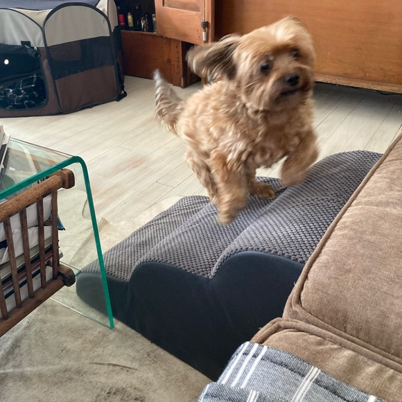 Meet your Posher, Jennifer - Picture 14 of 17